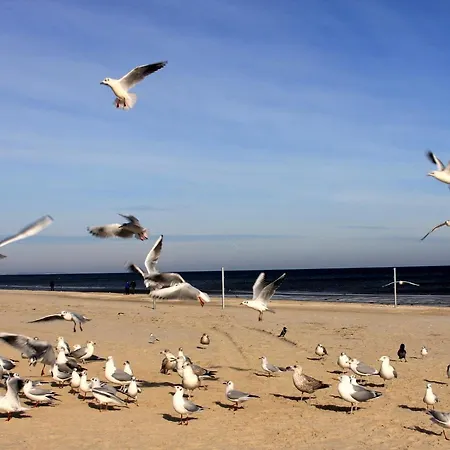 Strandnest Lejlighed *